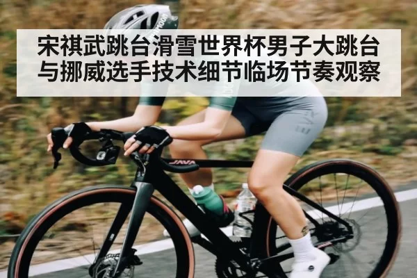宋祺武跳台滑雪世界杯男子大跳台与挪威选手技术细节临场节奏观察